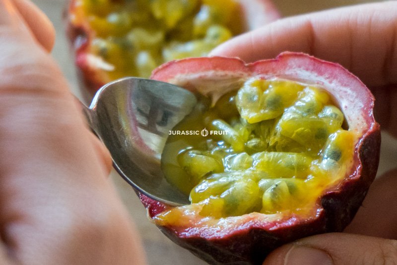 Manger les graines de fruit de la passion