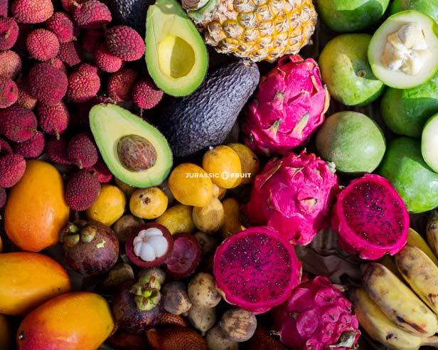 Ensemble de fruits exotiques avec pitaya
